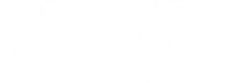 NeedForSpin logo