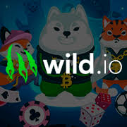Wild.io logo