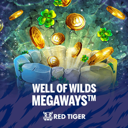 Well of Wilds Megaways™ slot