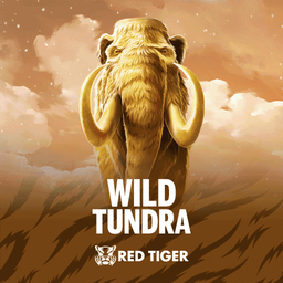 Wild Tundra slot